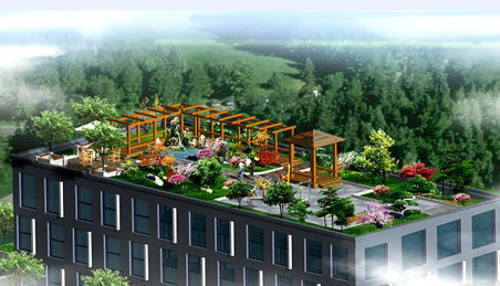 屋頂花園實景圖2